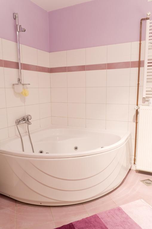 Apartments Zagy Hrvatski Leskovac Szoba fotó