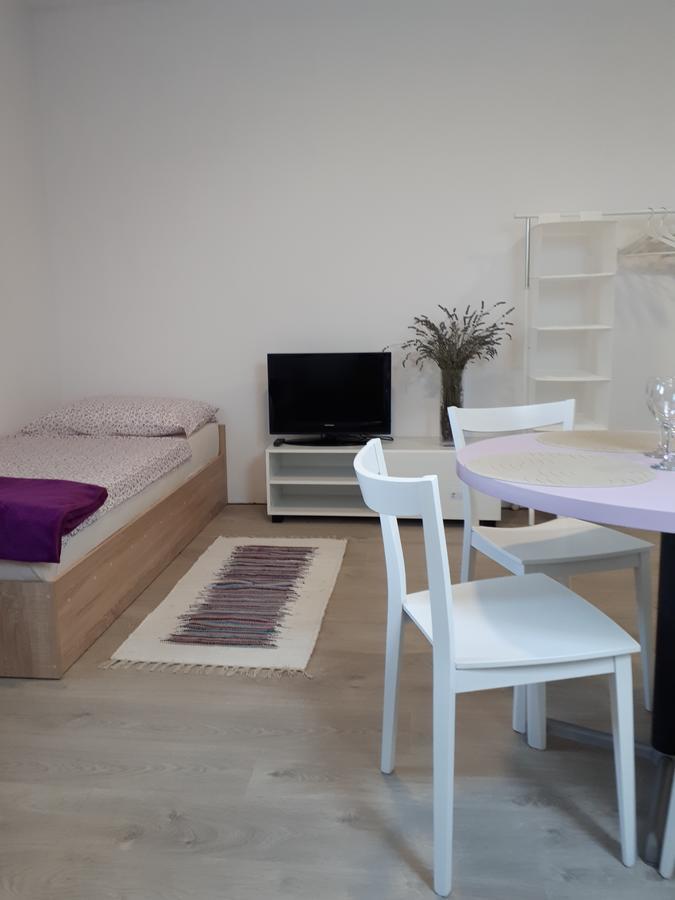 Apartments Zagy Hrvatski Leskovac Kültér fotó