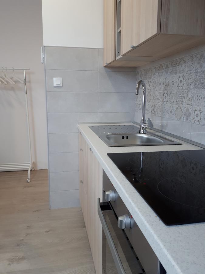 Apartments Zagy Hrvatski Leskovac Kültér fotó